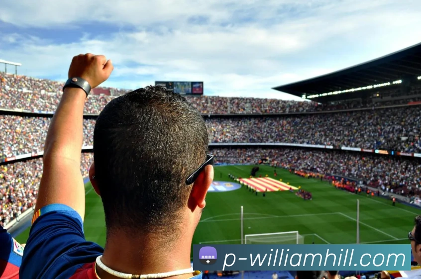 多媒体互动体验